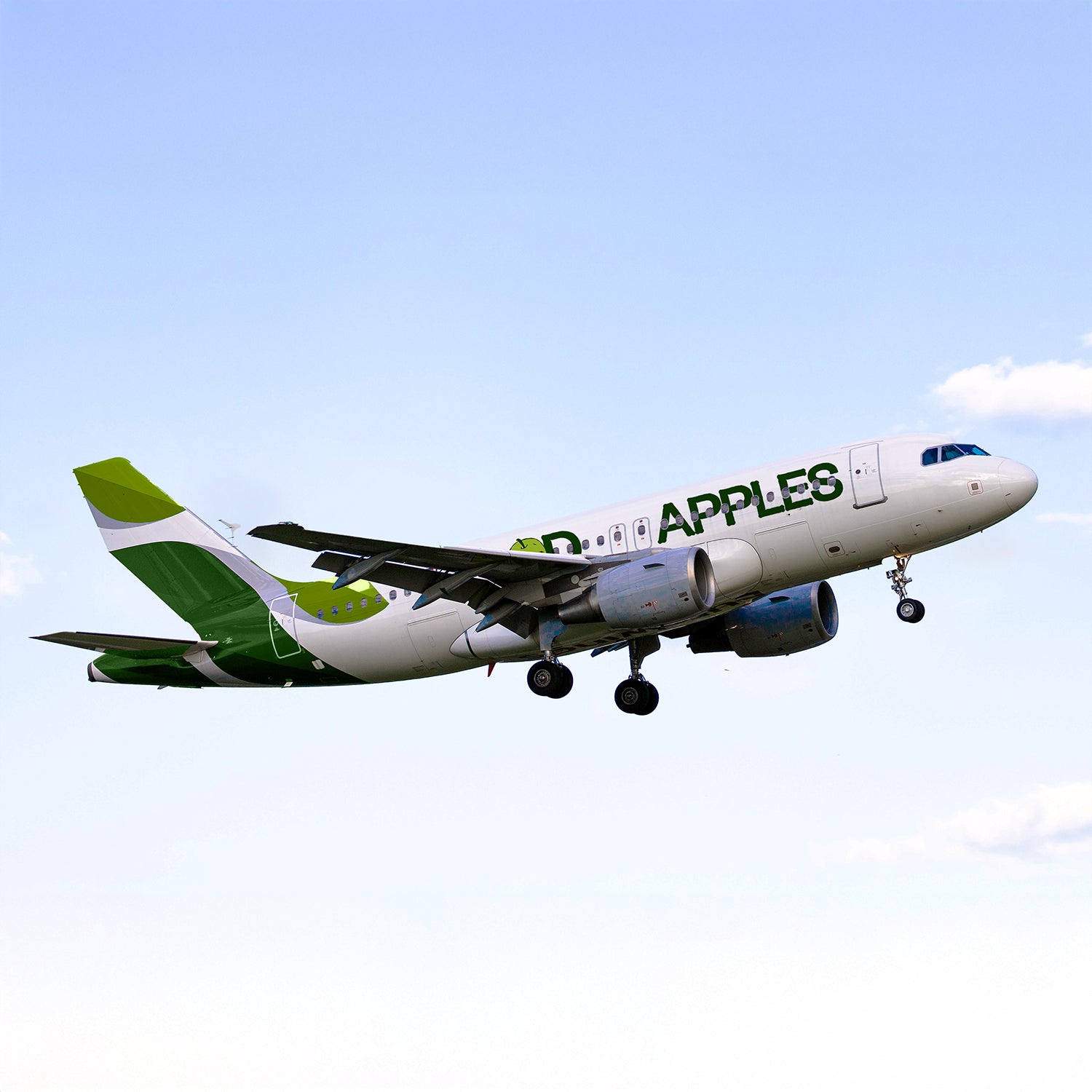 Boeing Plane